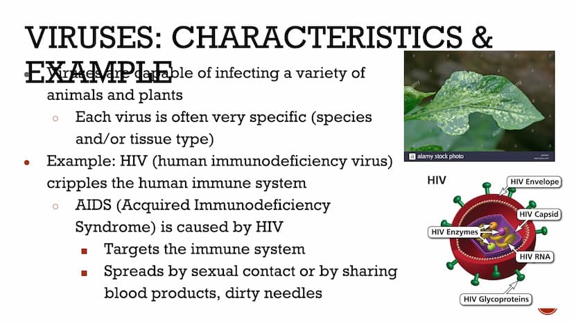 VIRUSES &
BACTERIA
Biology VIRUSES: LIVING OR NO
Most biologists do not consider
viruses to be alive.
O
A virus has no cells and cannot
repr