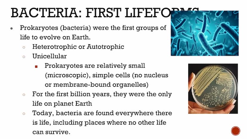 VIRUSES &
BACTERIA
Biology VIRUSES: LIVING OR NO
Most biologists do not consider
viruses to be alive.
O
A virus has no cells and cannot
repr
