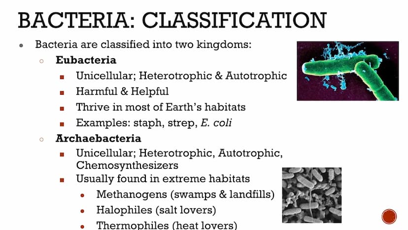 VIRUSES &
BACTERIA
Biology VIRUSES: LIVING OR NO
Most biologists do not consider
viruses to be alive.
O
A virus has no cells and cannot
repr