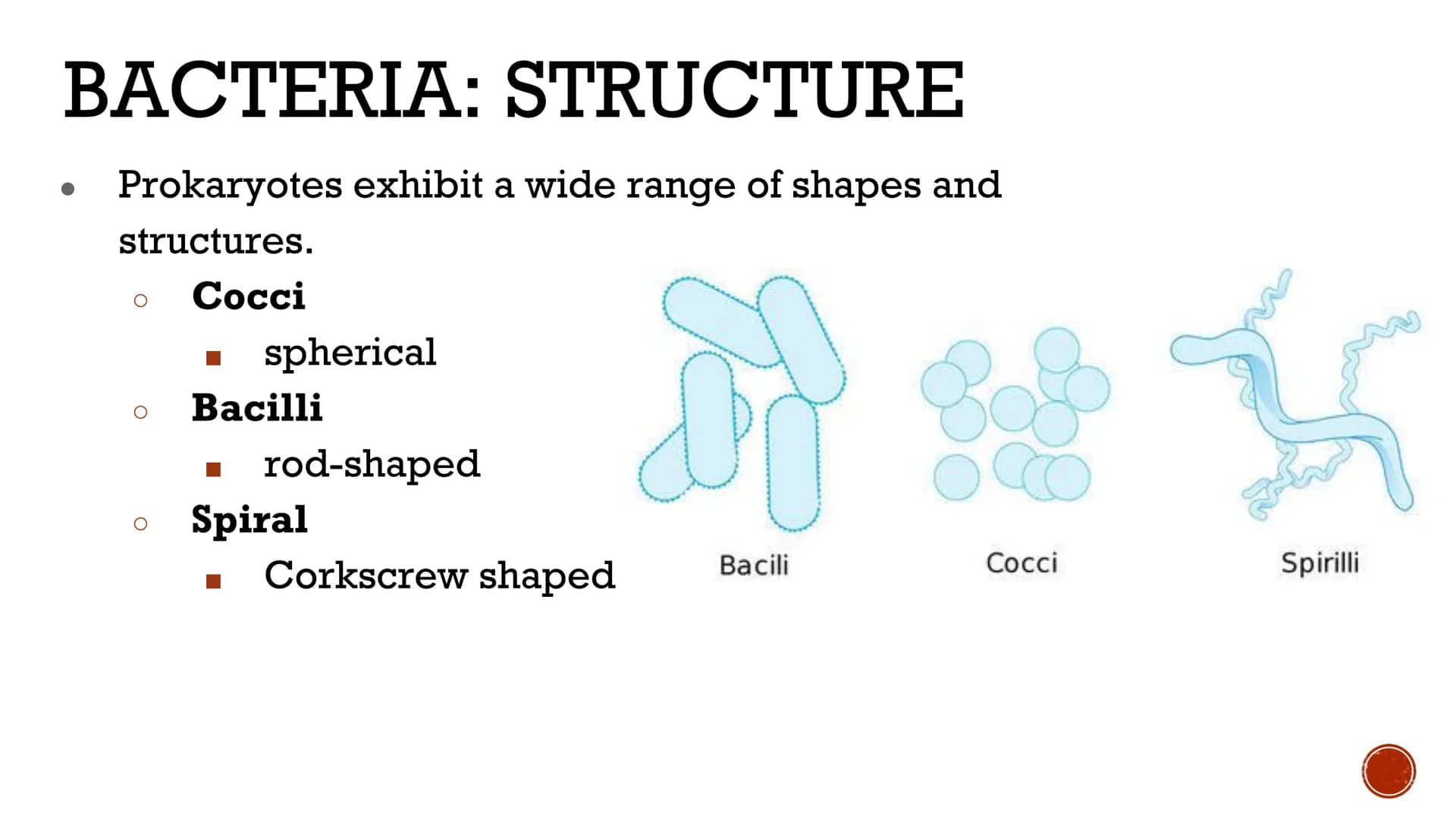 VIRUSES &
BACTERIA
Biology VIRUSES: LIVING OR NO
Most biologists do not consider
viruses to be alive.
O
A virus has no cells and cannot
repr