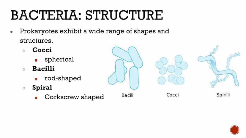 VIRUSES &
BACTERIA
Biology VIRUSES: LIVING OR NO
Most biologists do not consider
viruses to be alive.
O
A virus has no cells and cannot
repr