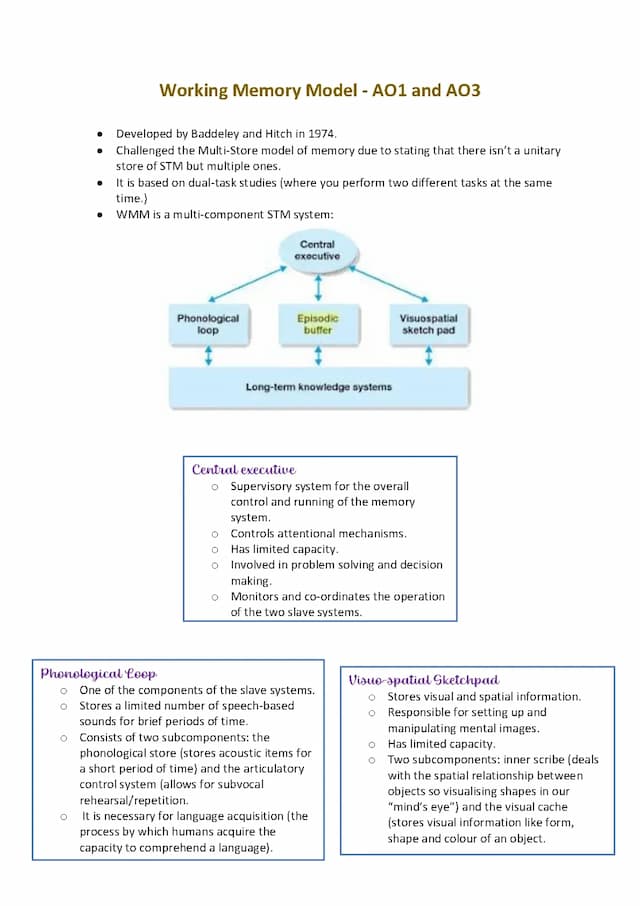 洋書 Studies in the Theory of the Parts of Sp 81eNy9rhrmL._UF1000,1000_QL80_.jpg