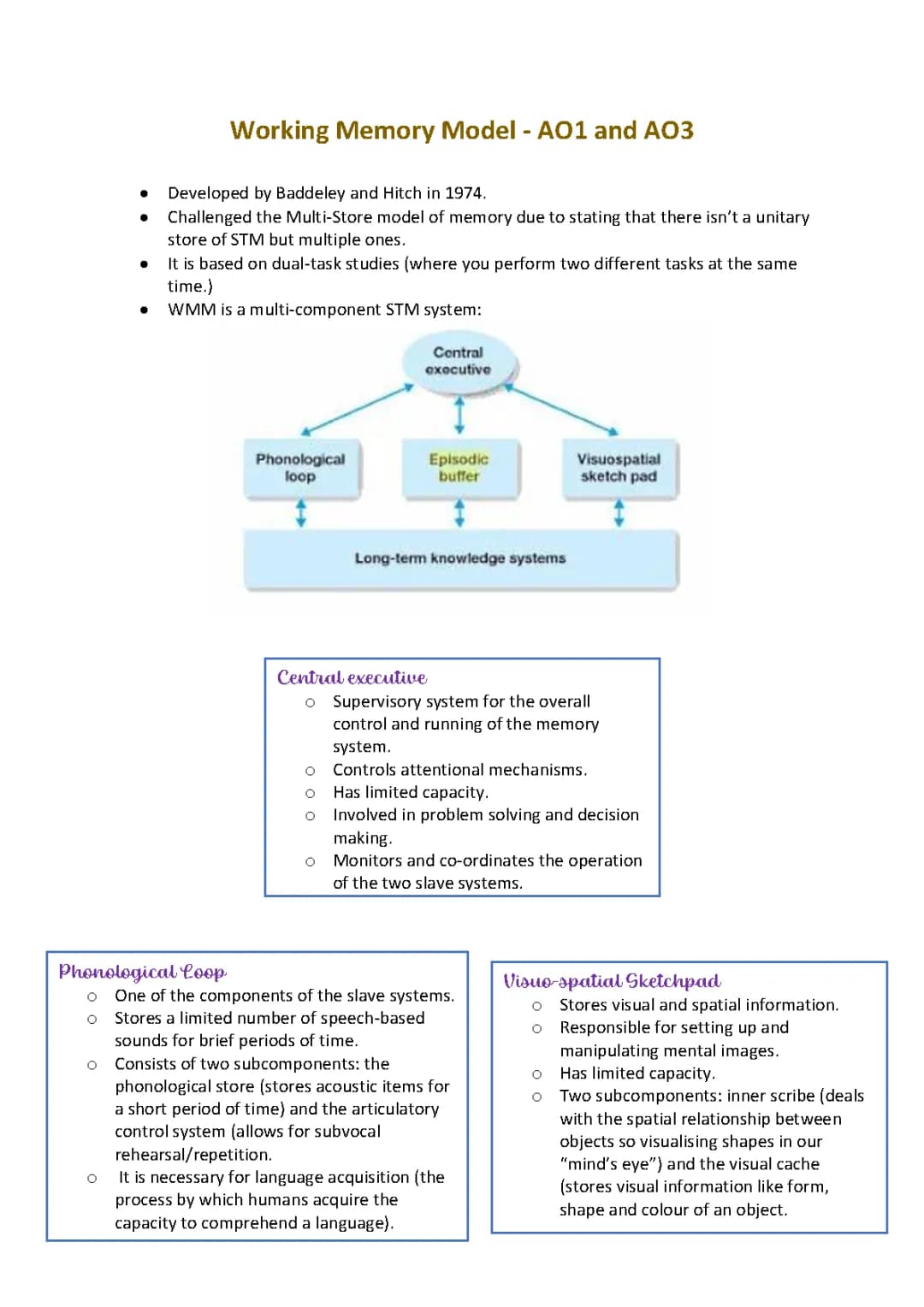 Working Memory Model: AO1, AO3, and Baddeley & Hitch's Cool Experiments