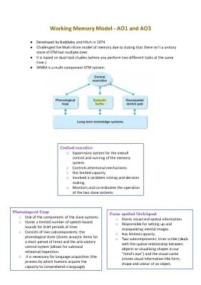 Know Working Memory Model thumbnail