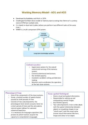 Know Working Memory Model thumbnail