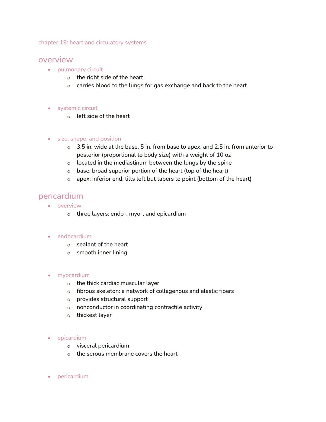 chapter 19: heart and circulatory systems
overview
●
●
●
●
●
●
pulmonary circuit
O
O
●
systemic circuit
O
O
size, shape, and position
3.5 in