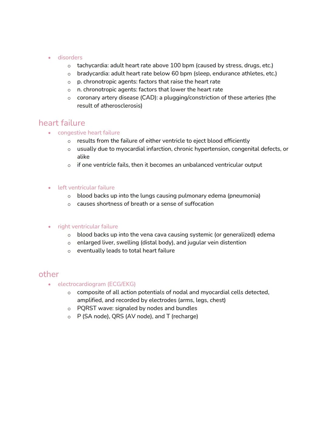 chapter 19: heart and circulatory systems
overview
●
●
●
●
●
●
pulmonary circuit
O
O
●
systemic circuit
O
O
size, shape, and position
3.5 in