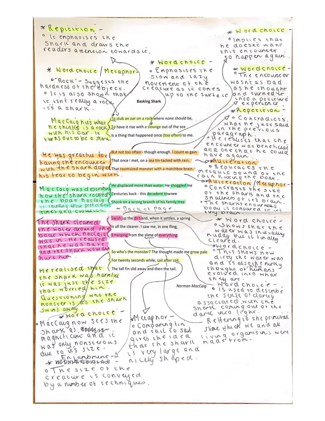 Basking Shark Poem Analysis by Norman MacCaig | Aunt Julia, Visiting Hour Poem & More