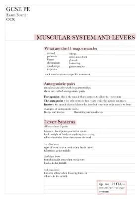 Know Muscular system & Levers thumbnail