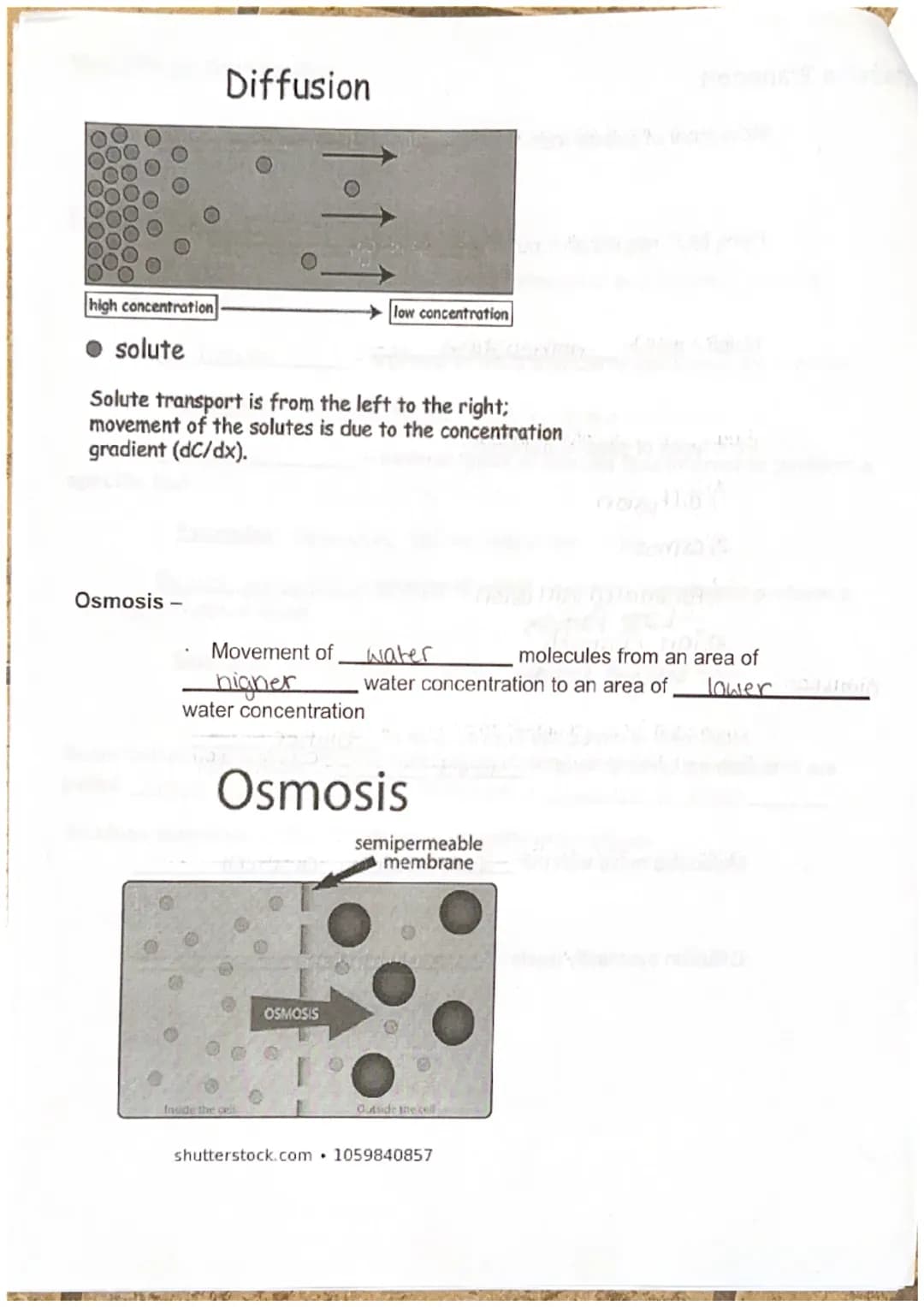 Biology I
Discovery of the Cell
Unit 3 Cell Structure, Function, and Transport
Robert Hooke
microscope and discovered
The cl
the processes o