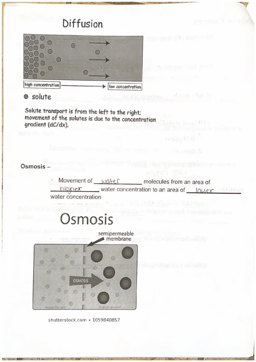 Biology I
Discovery of the Cell
Unit 3 Cell Structure, Function, and Transport
Robert Hooke
microscope and discovered
The cl
the processes o