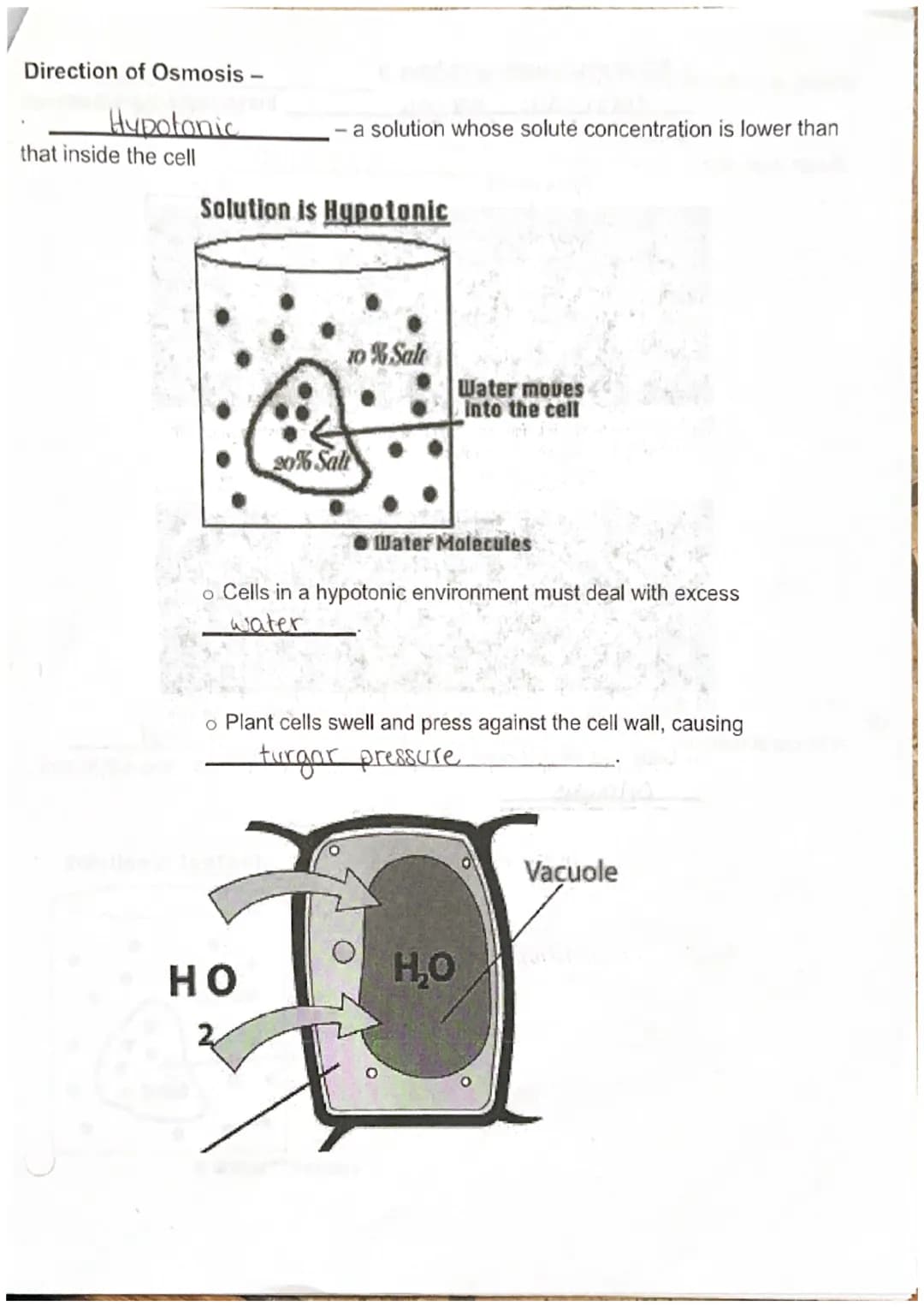Biology I
Discovery of the Cell
Unit 3 Cell Structure, Function, and Transport
Robert Hooke
microscope and discovered
The cl
the processes o