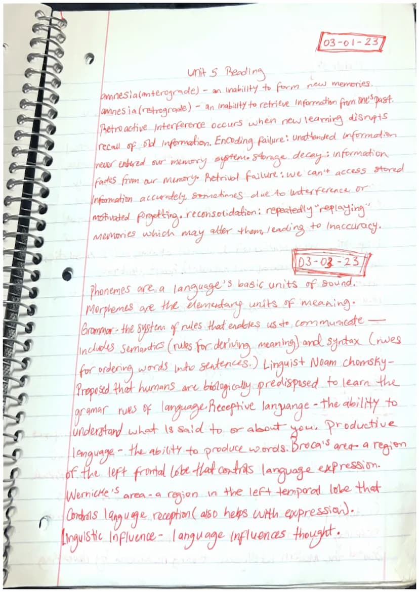 Reading
Feb 28, 2023
(Unit 5)
recognition - Identifying Hem's previously learned. relearning
15 Something more quickly when you learn it a s