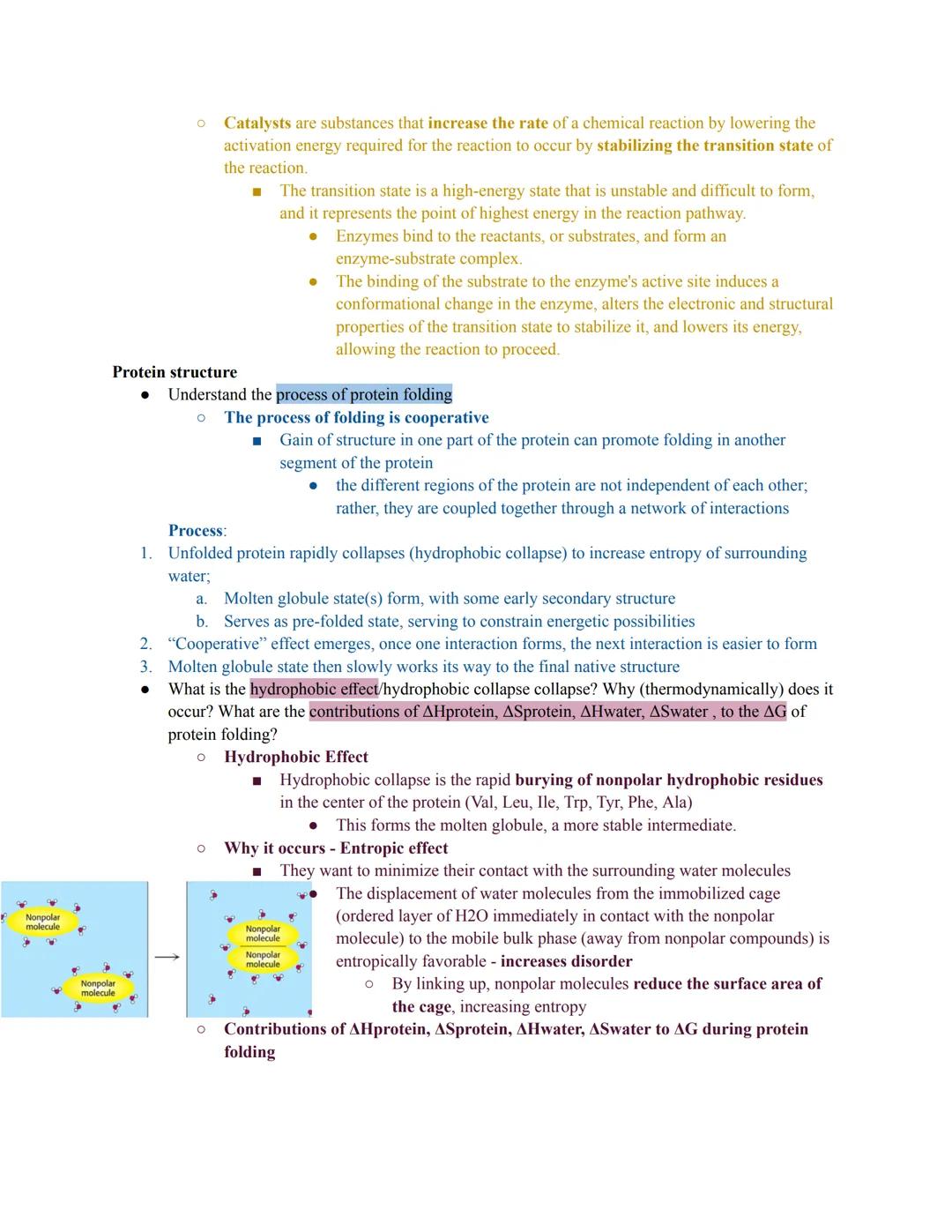 - Non-covalent interactions
Be able to identify hydrogen bonding, dipole-dipole interactions, electrostatic interactions (salt
bridges), and