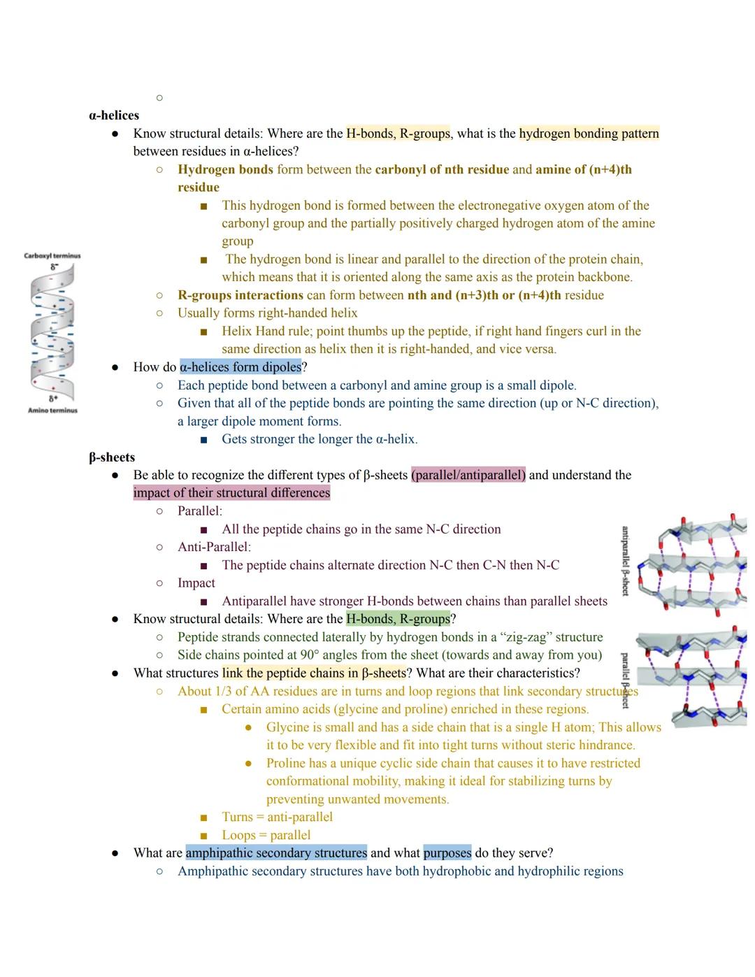 - Non-covalent interactions
Be able to identify hydrogen bonding, dipole-dipole interactions, electrostatic interactions (salt
bridges), and