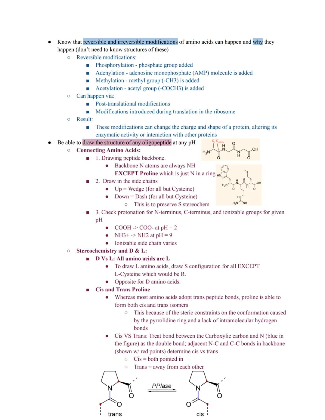 - Non-covalent interactions
Be able to identify hydrogen bonding, dipole-dipole interactions, electrostatic interactions (salt
bridges), and