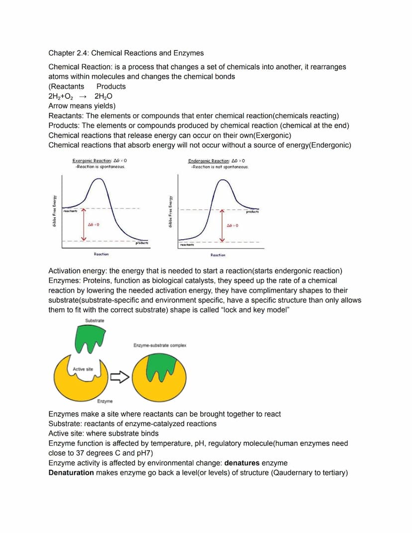 
<p>Science is an organized way of understanding the world. It is a process that only relates to the natural world and shows patterns and co