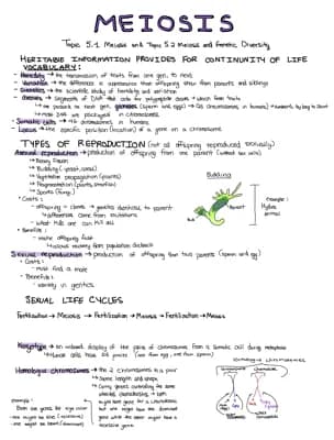 Know Unit 5: Meiosis thumbnail