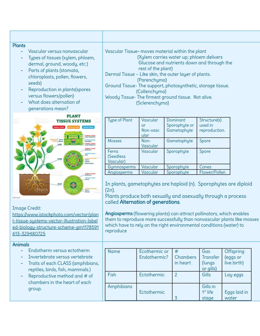 Topic
Scientific Method
Controls
-
Dependent/Independent
Validity and Reliability
Theories versus laws
Biology Notes
(for EOC and exams)
Che