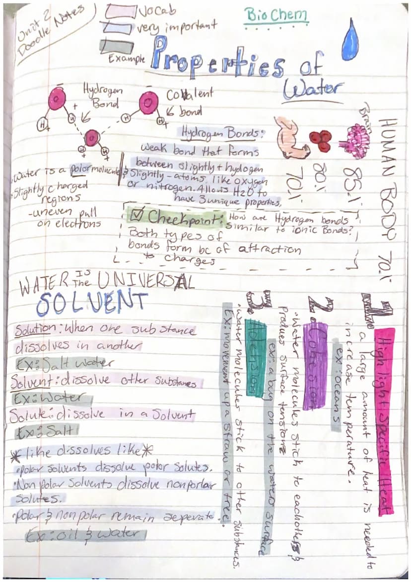 Vocab
Very important
Example
all living things: Chemistry: based on atoms's their interactions
• atomic number CHONA
-Symbol
Doodle
Unit 2
N