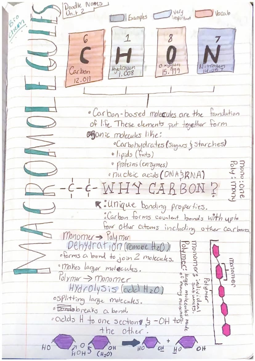 Vocab
Very important
Example
all living things: Chemistry: based on atoms's their interactions
• atomic number CHONA
-Symbol
Doodle
Unit 2
N
