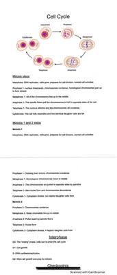 Know cell cycle - mitosis - meiosis  thumbnail