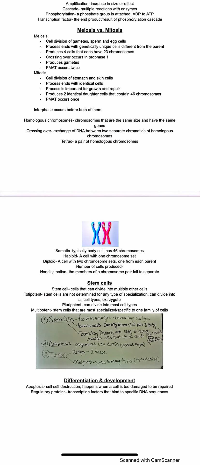 Mitosis steps
Cytokinesis
Meiosis 1
Cell Cycle
Interphase
Telophase
Meiosis 1 and 2 steps
Meiosis 2
Prophase
F
Interphase-DNA replicates, ce