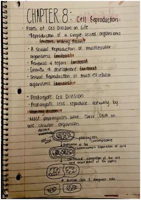 Know Cell Reproduction: Roles of Cell Division in Life Processes thumbnail