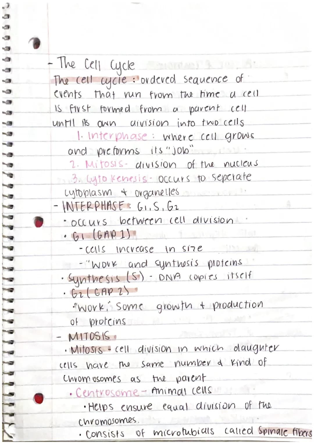 CHAPTER 8: Cell Reproduction
Roles of Cell Divison in Life
• Reproduction of a single celled organisms.
(mitosis, bianry fisson)
• A Sexual 