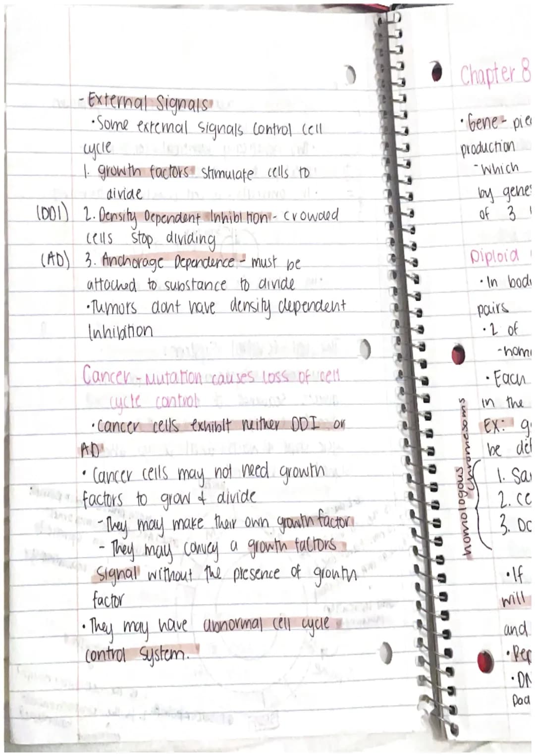 CHAPTER 8: Cell Reproduction
Roles of Cell Divison in Life
• Reproduction of a single celled organisms.
(mitosis, bianry fisson)
• A Sexual 