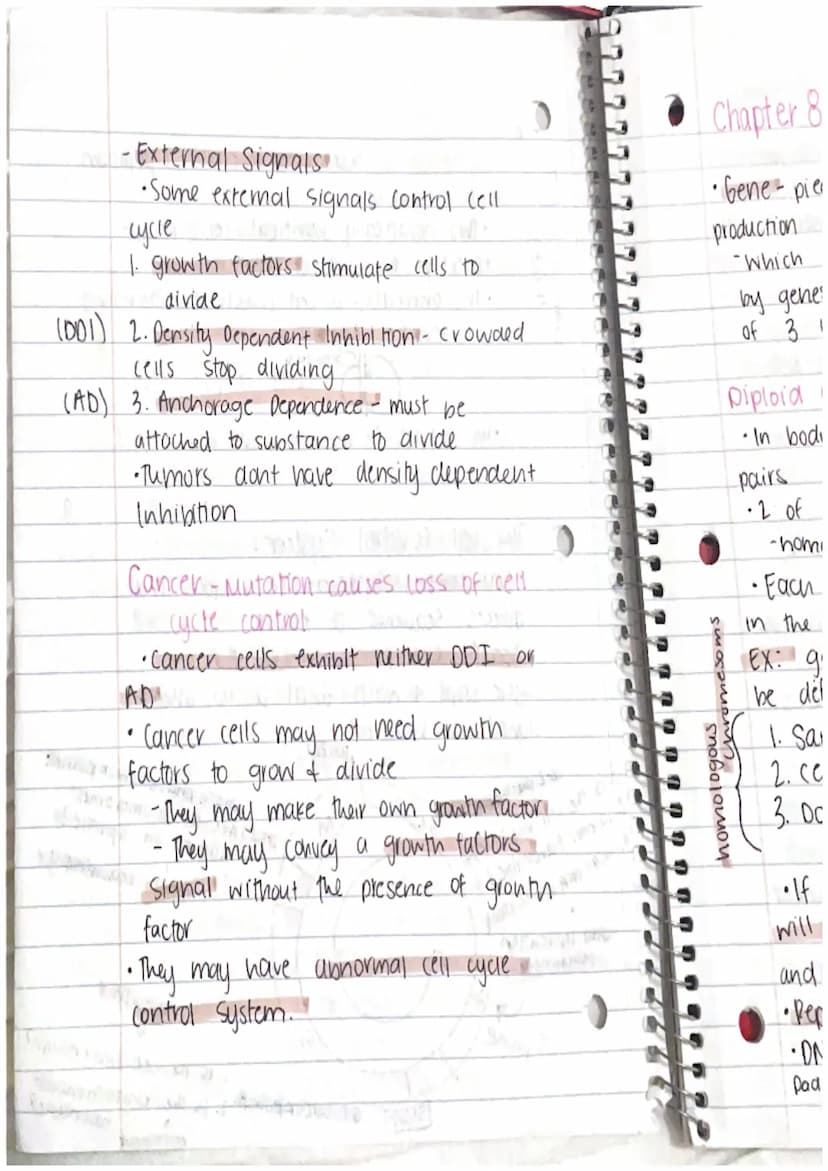 CHAPTER 8: Cell Reproduction
Roles of Cell Divison in Life
• Reproduction of a single celled organisms.
(mitosis, bianry fisson)
• A Sexual 
