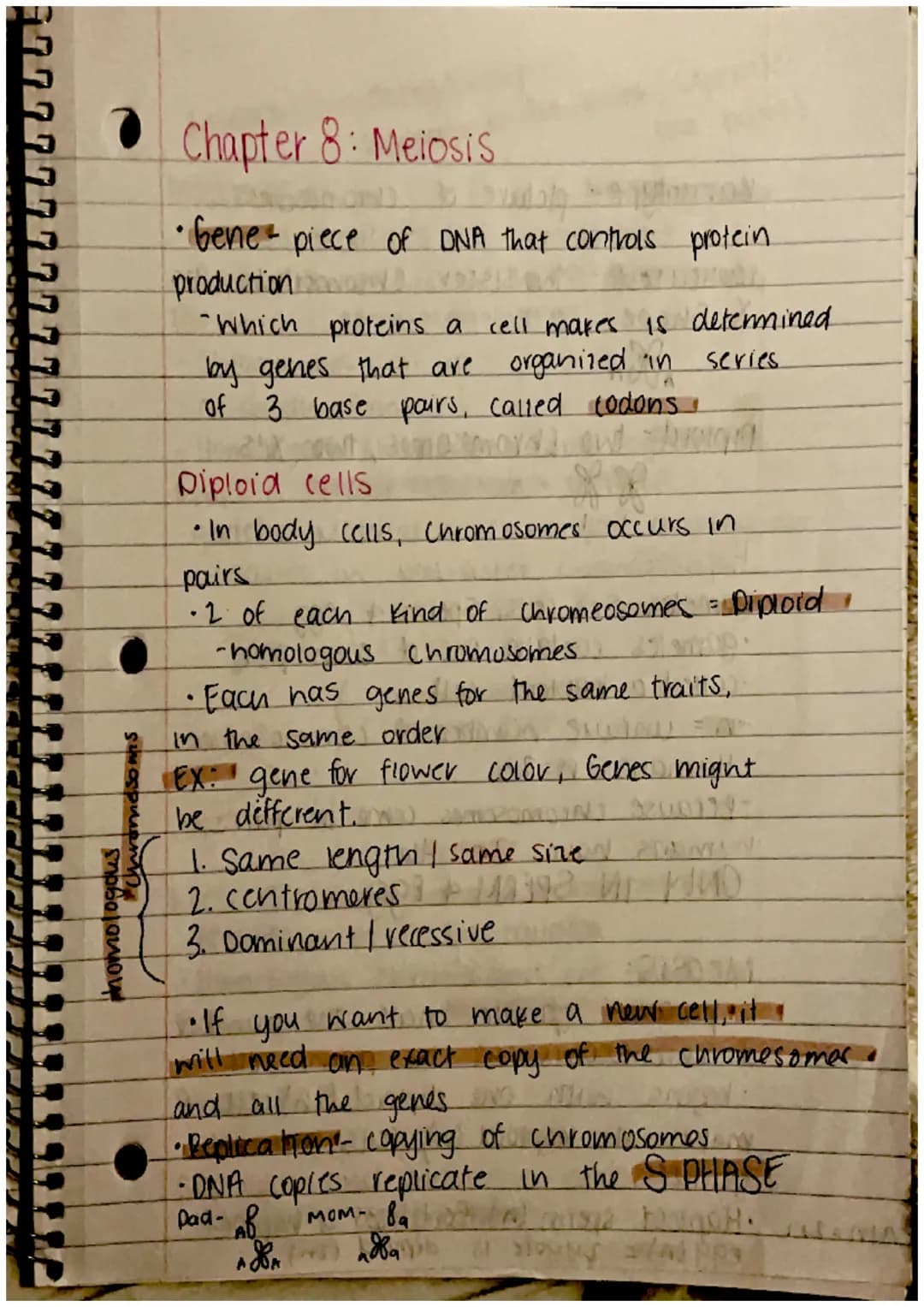 CHAPTER 8: Cell Reproduction
Roles of Cell Divison in Life
• Reproduction of a single celled organisms.
(mitosis, bianry fisson)
• A Sexual 