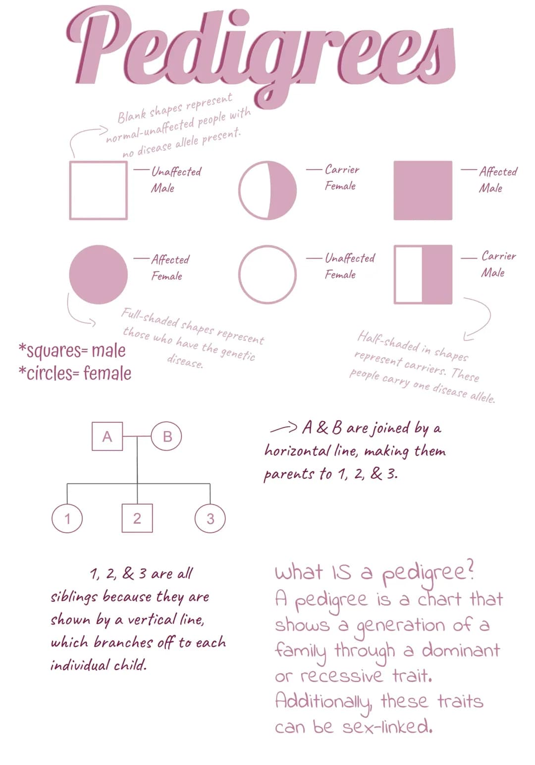 Fun with Pedigree Charts: Easy Examples for Kids