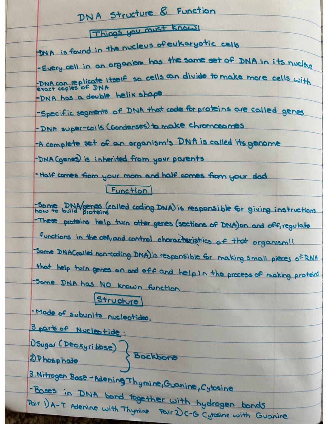 DNA Structure & Function
Things you must know!
DNA is found in the nucleus of eukaryotic cells.
-Every cell in an organism has the same set 