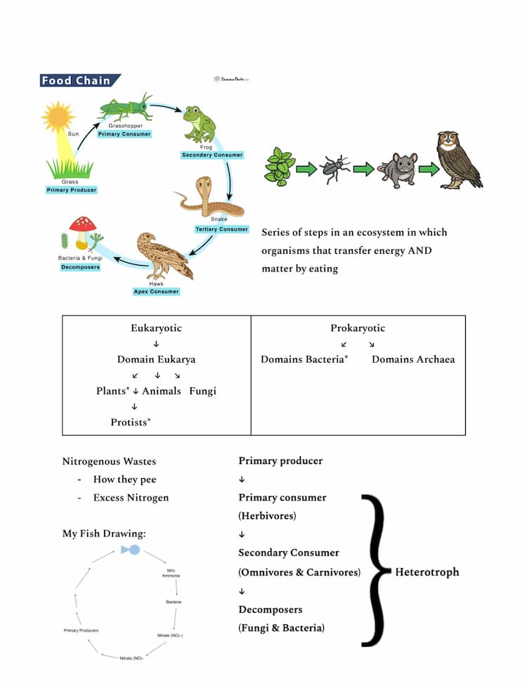 AP Bio Unit 1: Water Structure and Hydrogen Bonding Answers 