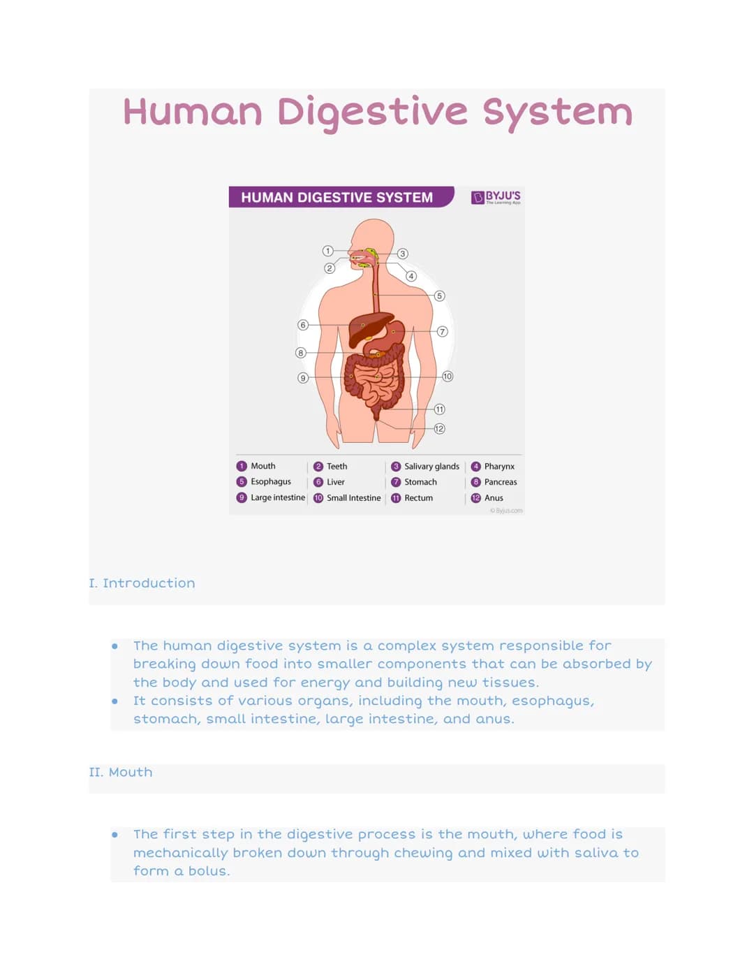 Human Digestive System
I. Introduction
HUMAN DIGESTIVE SYSTEM
II. Mouth
139
1 Mouth
Teeth
Esophagus
6 Liver
9 Large intestine Small Intestin