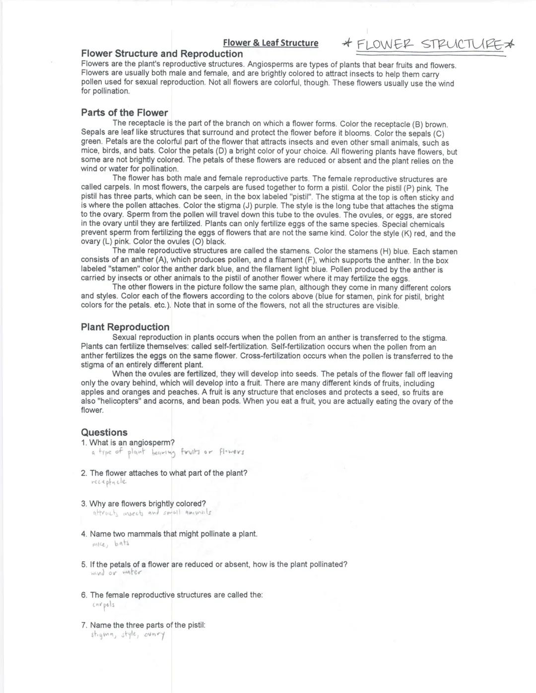 Flower & Leaf Structure
Flower Structure and Reproduction
Flowers are the plant's reproductive structures. Angiosperms are types of plants t