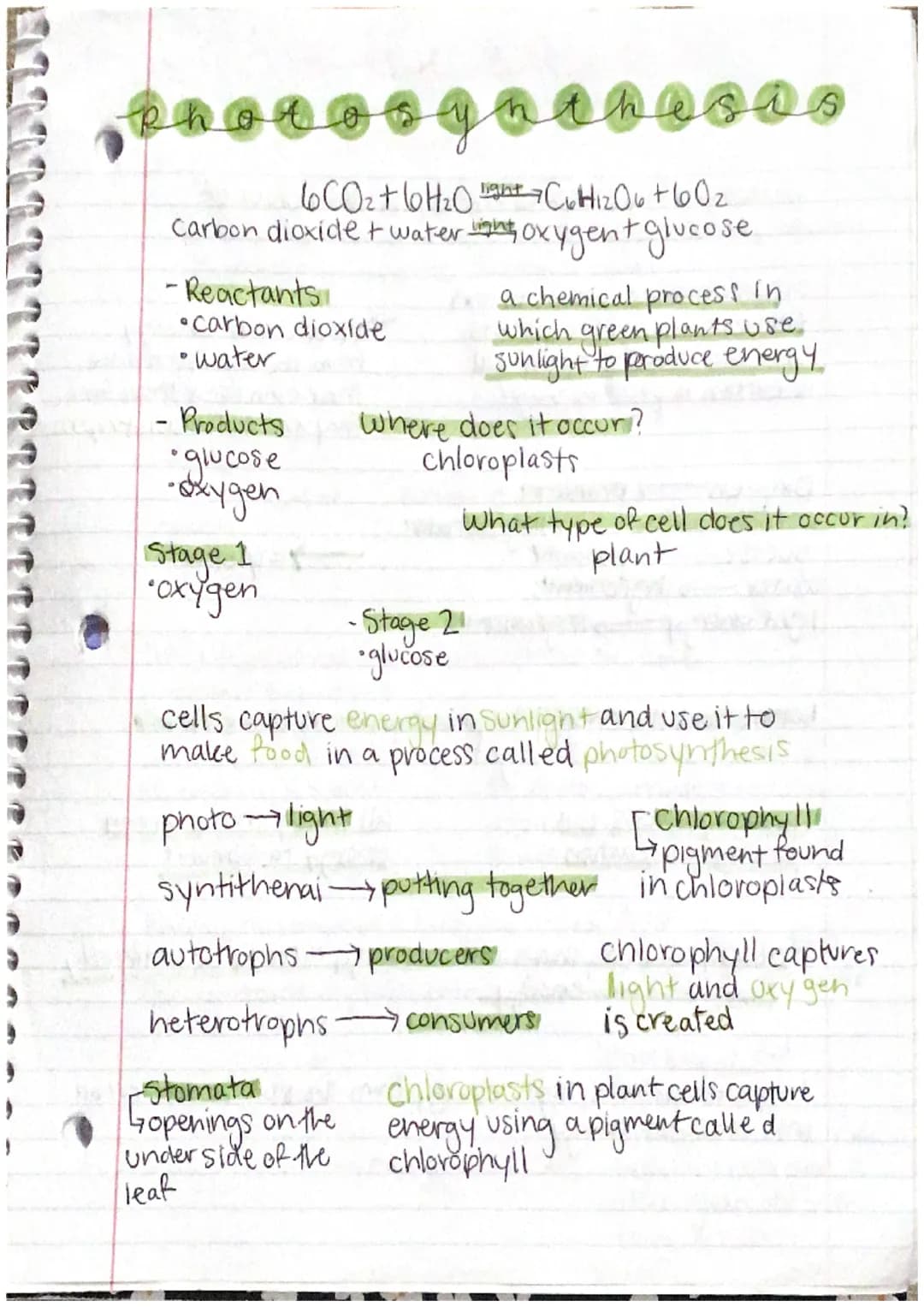 nanoso
6CO₂ + 6H₂0ght=C6H1206+60₂
carbon dioxide + water gh oxygent glucose
photos
- Reactants.
•Carbon dioxide
• water
- Products
• glucose