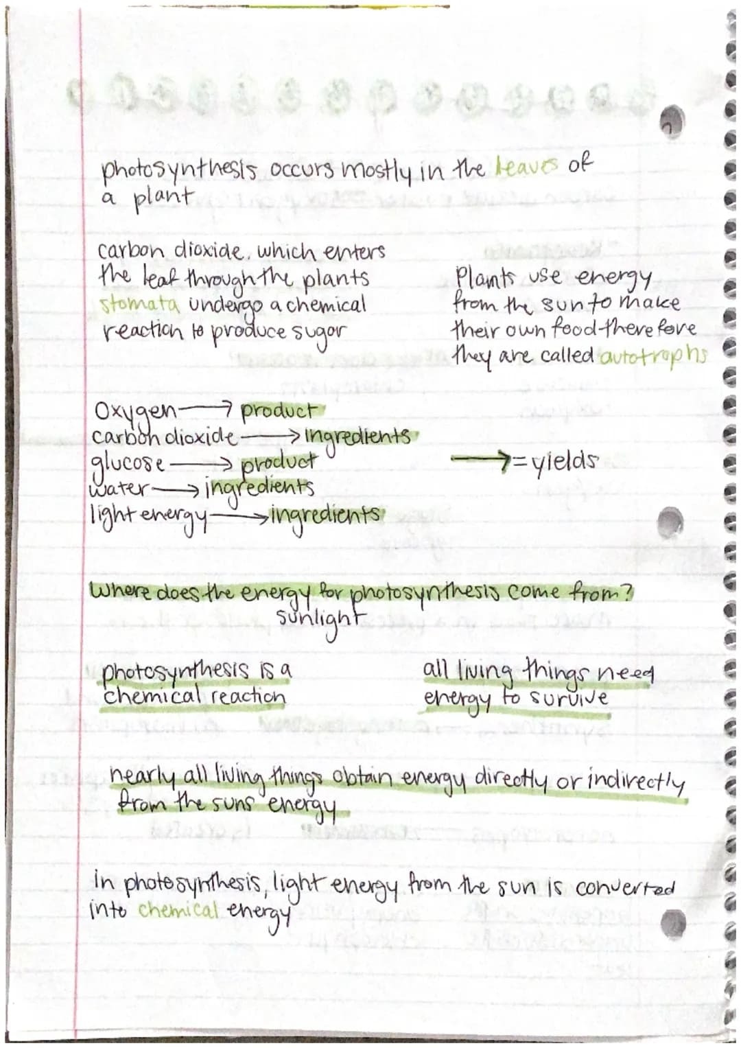 nanoso
6CO₂ + 6H₂0ght=C6H1206+60₂
carbon dioxide + water gh oxygent glucose
photos
- Reactants.
•Carbon dioxide
• water
- Products
• glucose