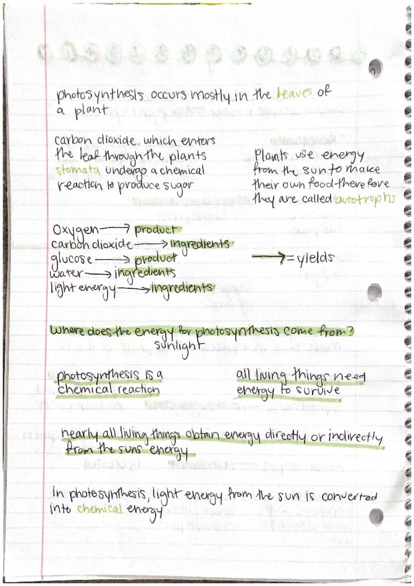 nanoso
6CO₂ + 6H₂0ght=C6H1206+60₂
carbon dioxide + water gh oxygent glucose
photos
- Reactants.
•Carbon dioxide
• water
- Products
• glucose