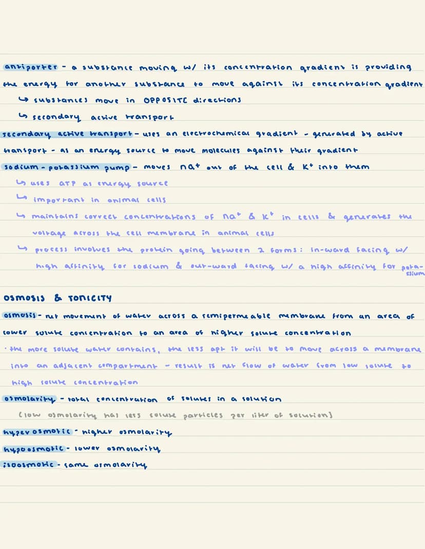 
<h2 id="introductiontoeukaryoticcells">Introduction to Eukaryotic Cells</h2>
<p>Eukaryotic cells have various specialized organelles to car
