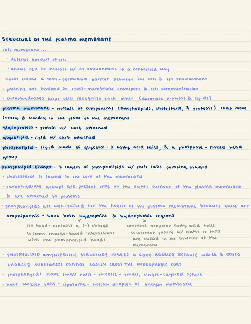 
<h2 id="introductiontoeukaryoticcells">Introduction to Eukaryotic Cells</h2>
<p>Eukaryotic cells have various specialized organelles to car