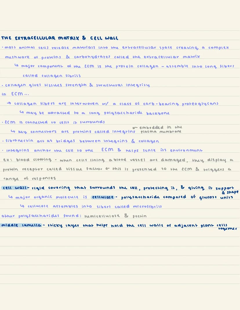 
<h2 id="introductiontoeukaryoticcells">Introduction to Eukaryotic Cells</h2>
<p>Eukaryotic cells have various specialized organelles to car