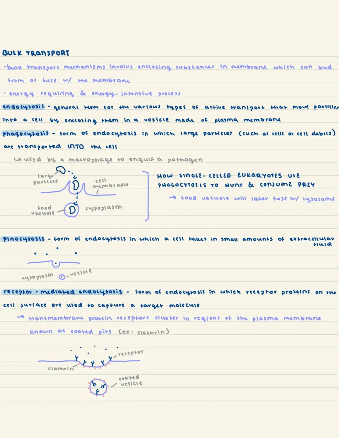 
<h2 id="introductiontoeukaryoticcells">Introduction to Eukaryotic Cells</h2>
<p>Eukaryotic cells have various specialized organelles to car