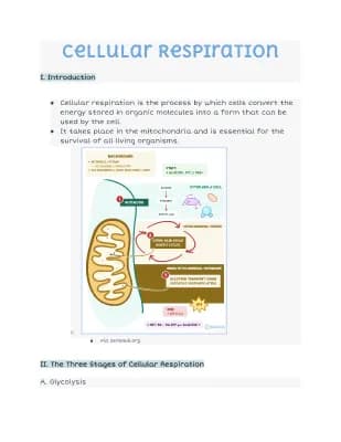 Know Cellular Respiration thumbnail