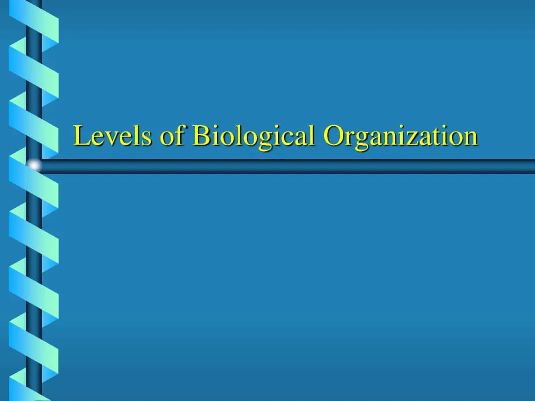 Levels of Biological Organization