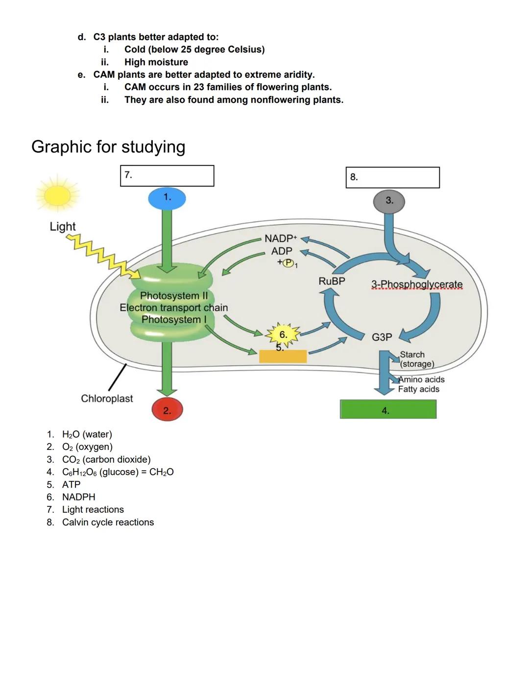 # BIOL 1406 CH 7 Photosynthesis Outline

Learning Outcomes:

Photosynthetic Organisms

Explain how autotrophs are able to produce their own 