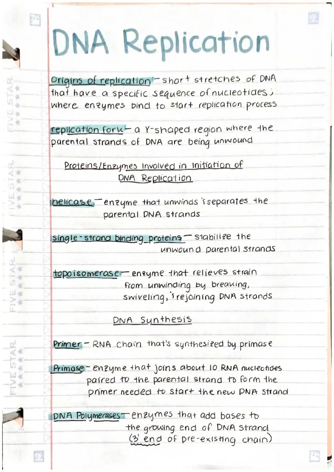 Fun Guide to DNA Replication: Enzymes, Steps, and Diagrams