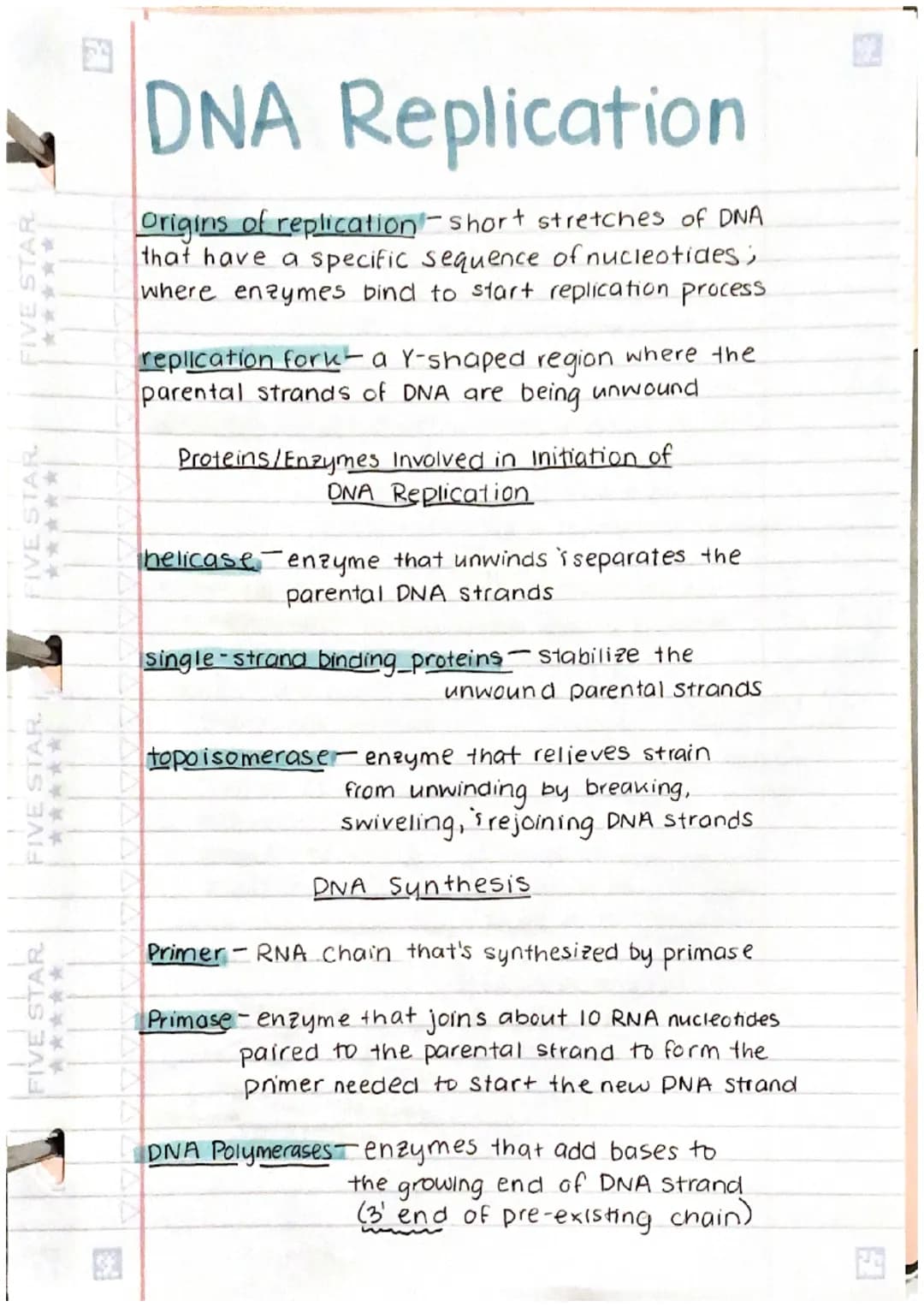 FIVE STAR
FIVE STAR
FIVE STAR.
FIVE STAR
******
DNA Replication
Origins of replication short stretches of DNA
that have a specific sequence 