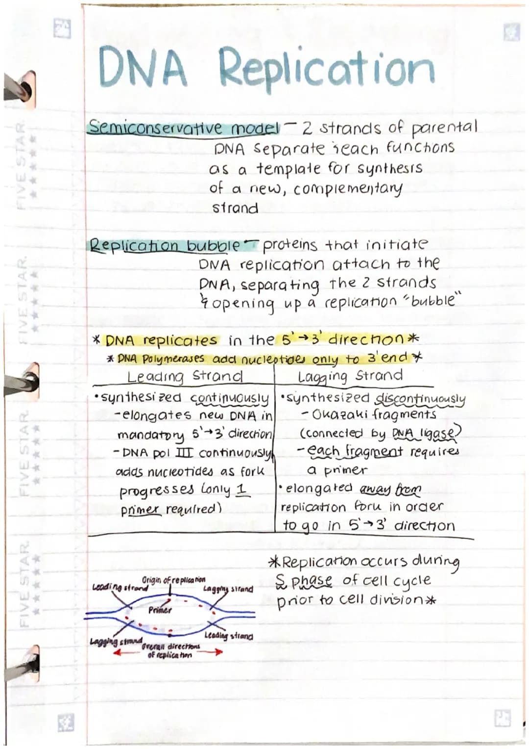 FIVE STAR
FIVE STAR
FIVE STAR.
FIVE STAR
******
DNA Replication
Origins of replication short stretches of DNA
that have a specific sequence 